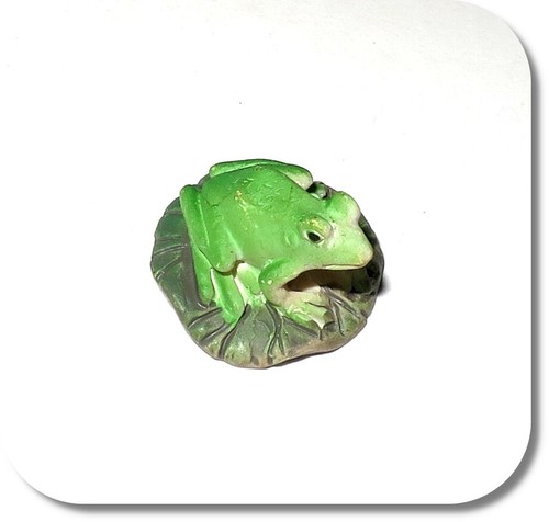 Miniatur frosch auf - frosch, blatt