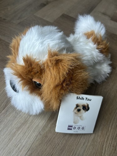 Shih tzu hund - hund, the