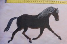 ?edel trabendes dunkelbraunes Pferd glänzende Mähne?Traber Pony Seide Bild