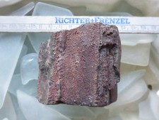 Fossiles verkieseltes Holz