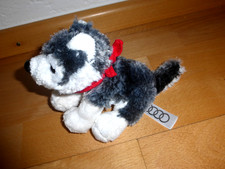 AUDI - Husky Hund mit Halstuch