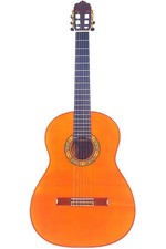 Emilio fernandez 2019 flamenco - fernandez, 2019-flamenco