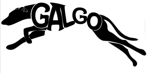 Galgo español autoaufkleber - galgo,