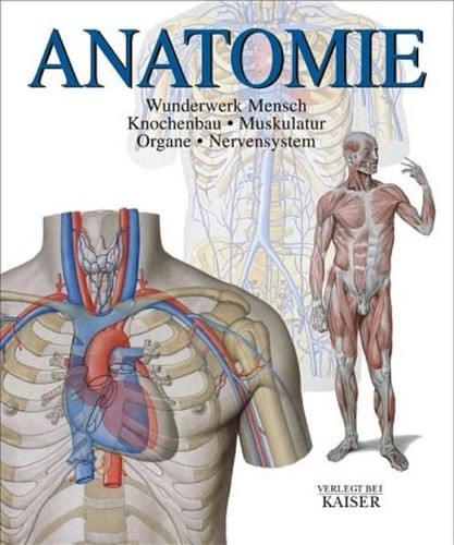 Anatomie wunderwerk mensch - wunderwerk,