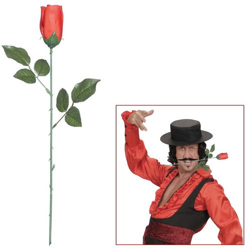 Rote rose halloween - rose, deko