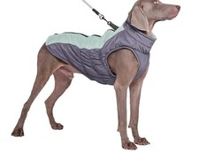 Hundemantel Hundejacke Warm  Wasserfest  Für Kleine Hunde in Grün o. Orange