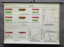 fantastische Schule Wandtafel Bild Enzym Biologie Energie Effekt Blockieren