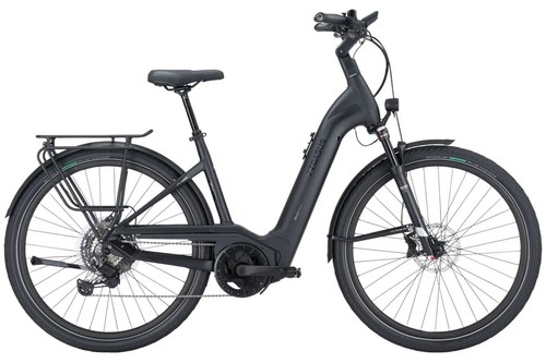 Pegasus strong evo lite - strong, 11