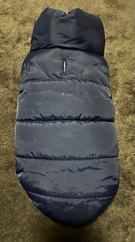 Hunde jacke kleidung - hunde, chihuahua