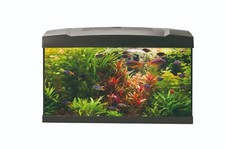 Aquarium Set 60x30x31,5cm inkl. LED Abdeckung, Filter, Heizer, Thermometer, Netz
