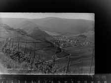 30070636 - 5481 Mayschoss