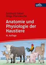 Gotthold Gäbel Anatomie und