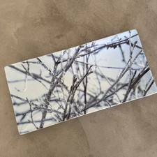 ASA Porzellan Schale Weihnachten Winter Advent gefrorene Äste 