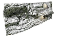 Back to Nature Rückwand Reef