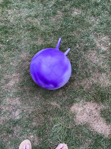 Violetteter hüpfball - violetteter,