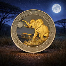 🐘 Somalia 100 Shillings