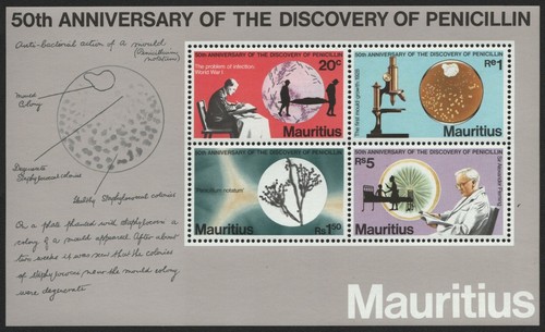 Mauritius 1978 nr block - mauritius, mi-nr.