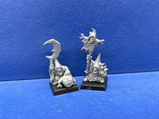 Nachtgoblin Boss + Schamane