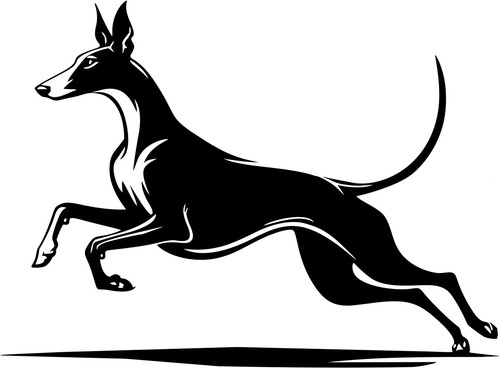 Podenco aufkleber - podenco,