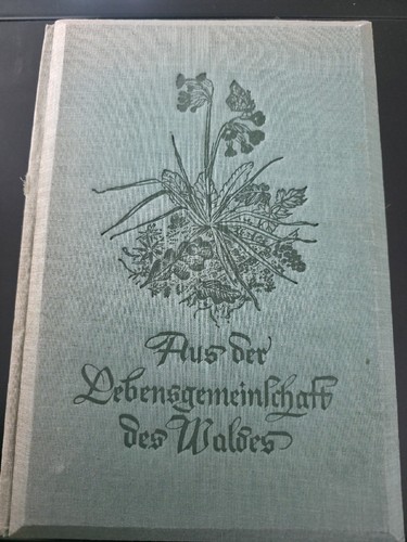 Aus der lebensgemeinschaft - aus,