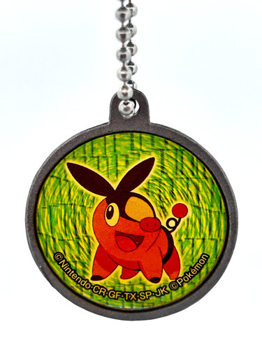 Tepig poke ball pokemon - poke,