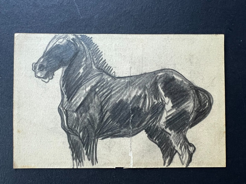 Pferd militär original - pferd,