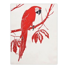 Roter scharlachroter Ara