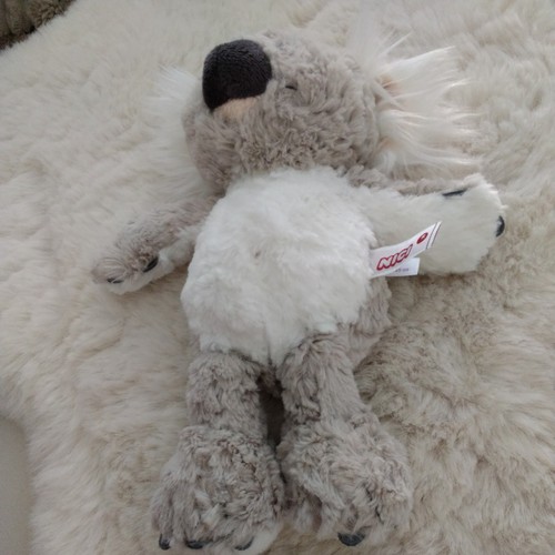 Nici koala joey 25cm - joey, wild