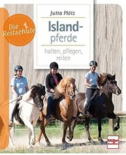 Islandpferde