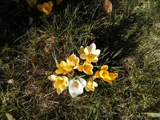 Behnke, Andrea - So einfach funktioniert Deutschland. Tl.3