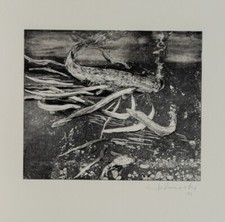 Wolfgang Werkmeister/