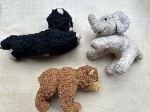 Alte katze elefant - alte,