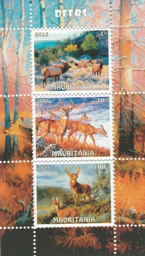 Wildtiere mauretanien - wildtiere,