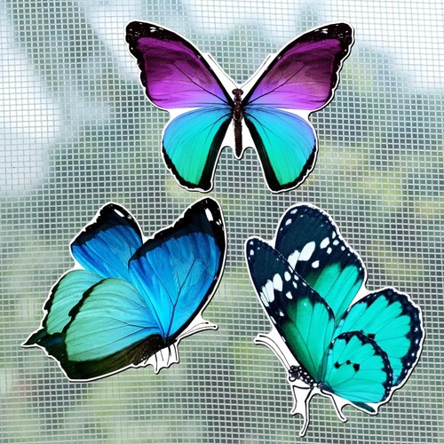 Butterfly fly screen magneten - butterfly,