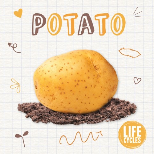 Potato kirsty holmes - potato,
