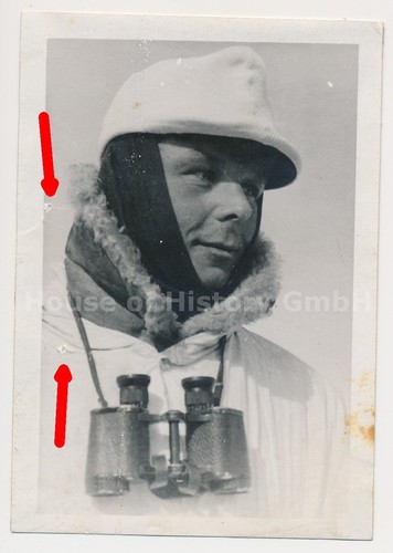 132361 foto russland - foto,