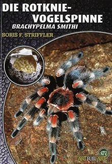 Die rotknievogelspinne - die,
