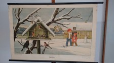 Schulwandkarte,Rollbild ,Lehrtafel " Vögel im Winter "