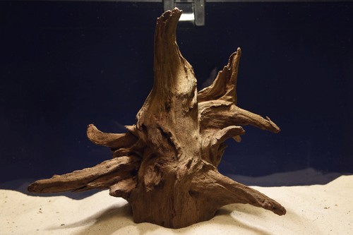 Aquarium wurzel corbo - wurzel, wood
