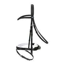 Passier Trense Apollo