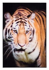 Designer Modern Teppich Tiger