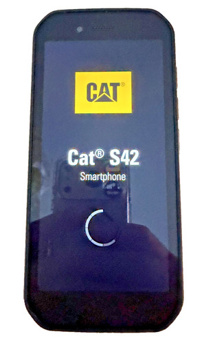 Cat s42 hygiene - cat,