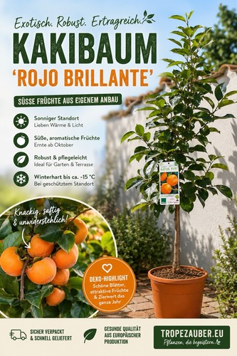 Kakibaum rojo brillante - kakibaum, brillante“
