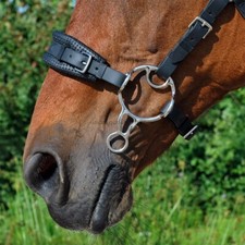 Barefoot Hackamore Complete