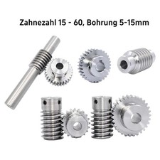 Modul 1 Schnecke Schneckenrad