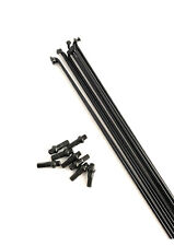 Speiche Sapim Leader 2.0 Rundspeiche schwarz 20 St. inkl. Nippel