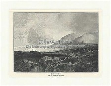 Herbst im Hochmoor Wenglein Nebel Gebirge Tormoos Ökosystem Holzstich A 2468