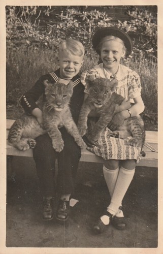 Foto hübsches mädchen - foto, ak