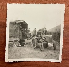 Foto |  Oldtimer | Traktor