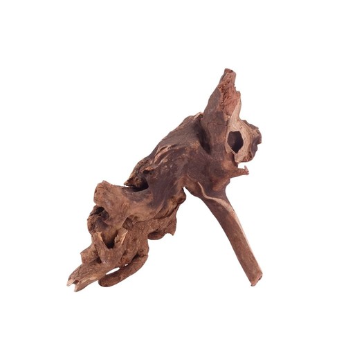 Driftwood flußwurzel - m,